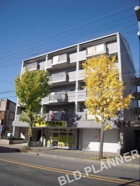 ツインコート24