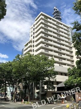 ホワイトメイツ