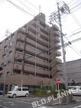 マルベリー上更