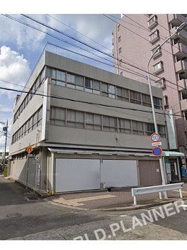日善