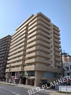 シティ・ファミール千種(ミズホ)