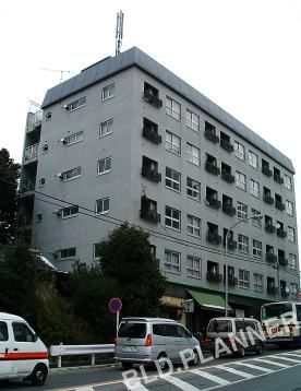 南山